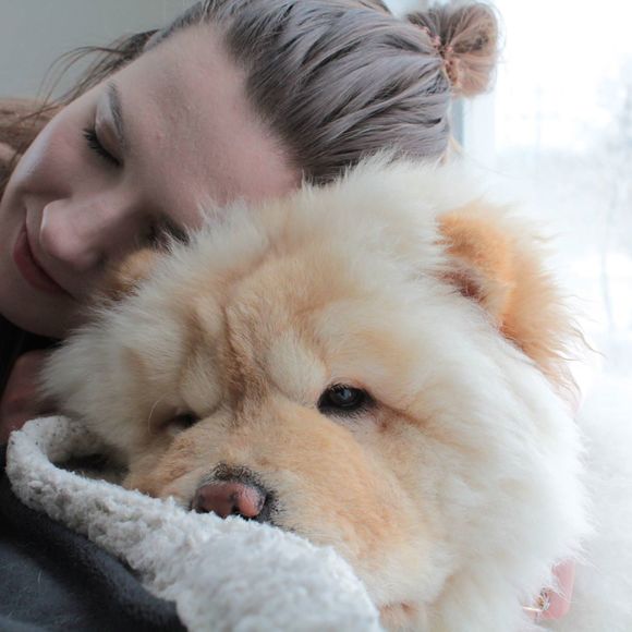 Meet your Posher, Jamie - Picture 1 of 1